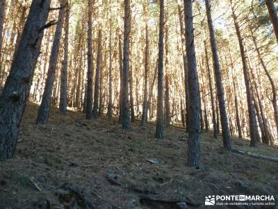 Chorro de San Mamés - Montes Carpetanos -rutas senderismo madrid;senderismo españa rutas mundo sin